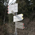 IMG_8660-150x150[1]